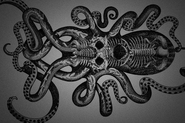 Kraken17 at