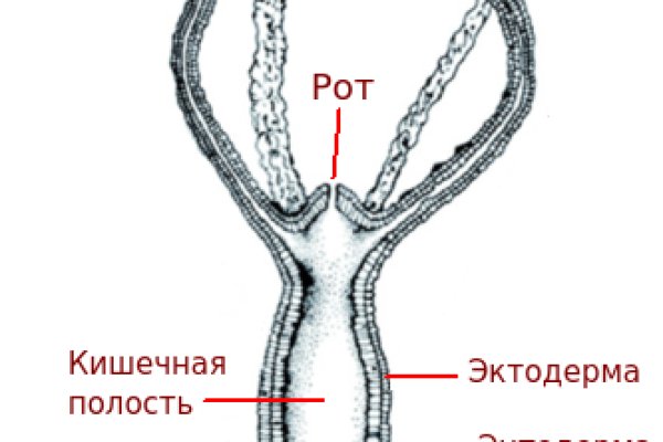 Кракен ссылка на сайт com