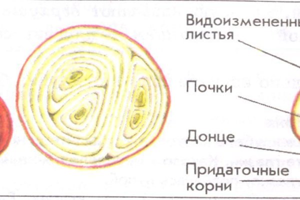 Kraken это современный маркетплейс