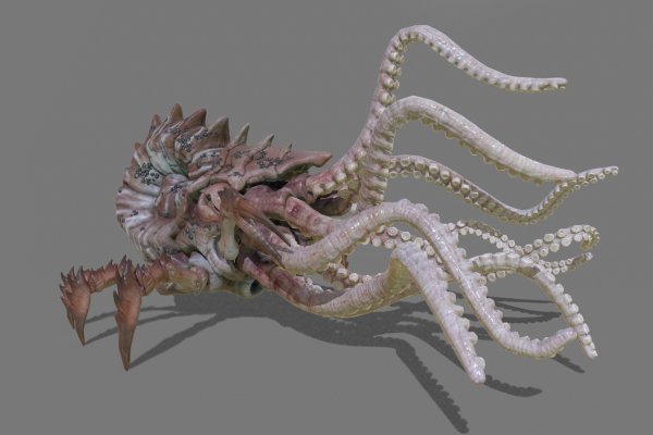 Kraken официальная ссылка